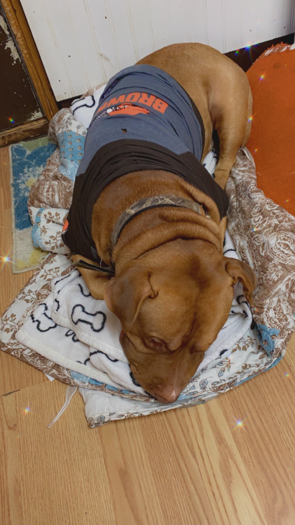 Help get Spike better campaign photo, 2 of 5