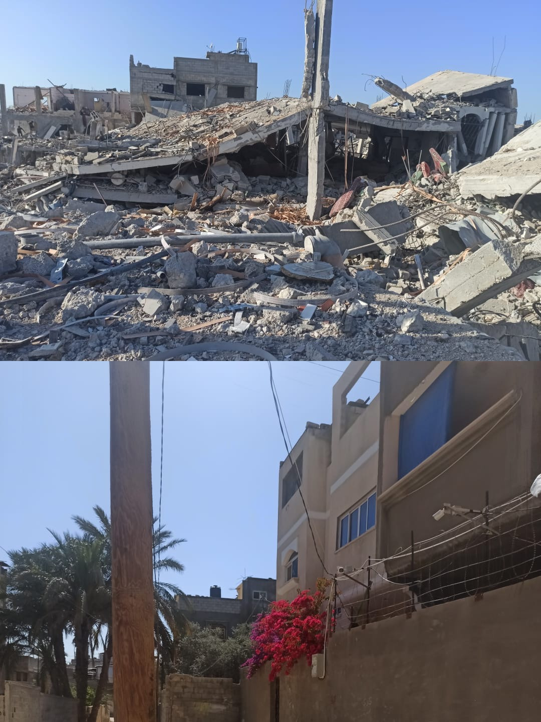 Help Ahmed, a vet student in Gaza campaign photo, 4 of 8