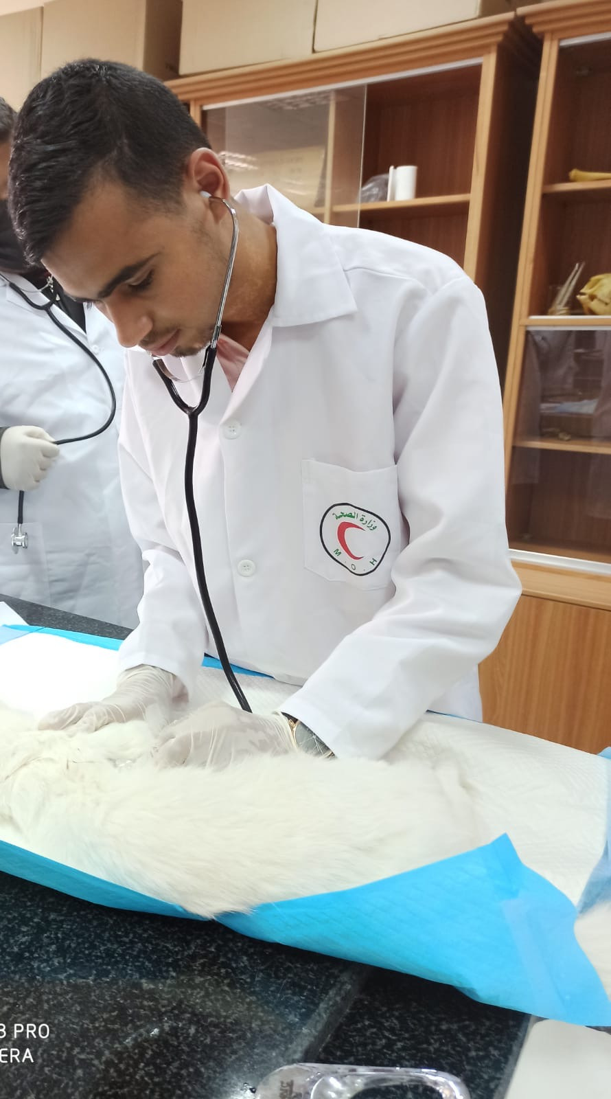 Help Ahmed, a vet student in Gaza campaign photo, 2 of 8