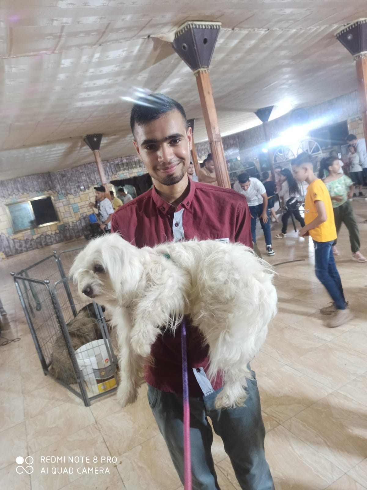 Help Ahmed, a vet student in Gaza campaign photo, 6 of 8