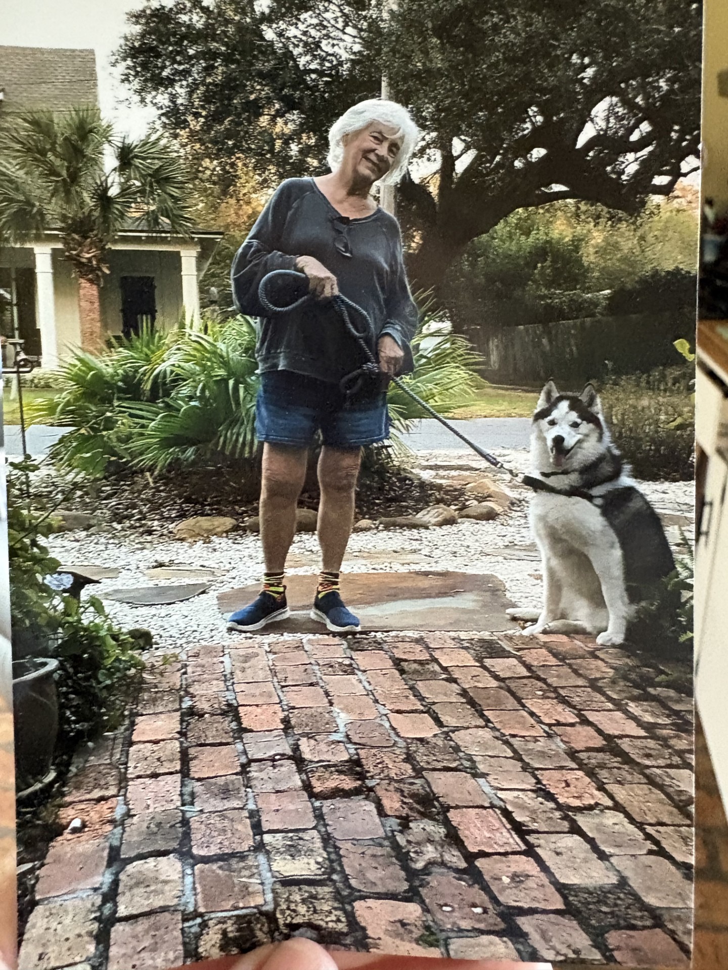 Help a Kind Soul Get Back on the Road campaign photo, 2 of 4