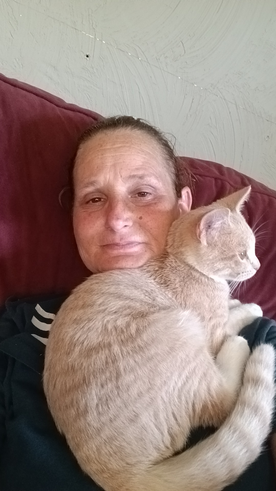 Urgent Surgery Needed for Our Cat's Hip campaign photo, 4 of 6