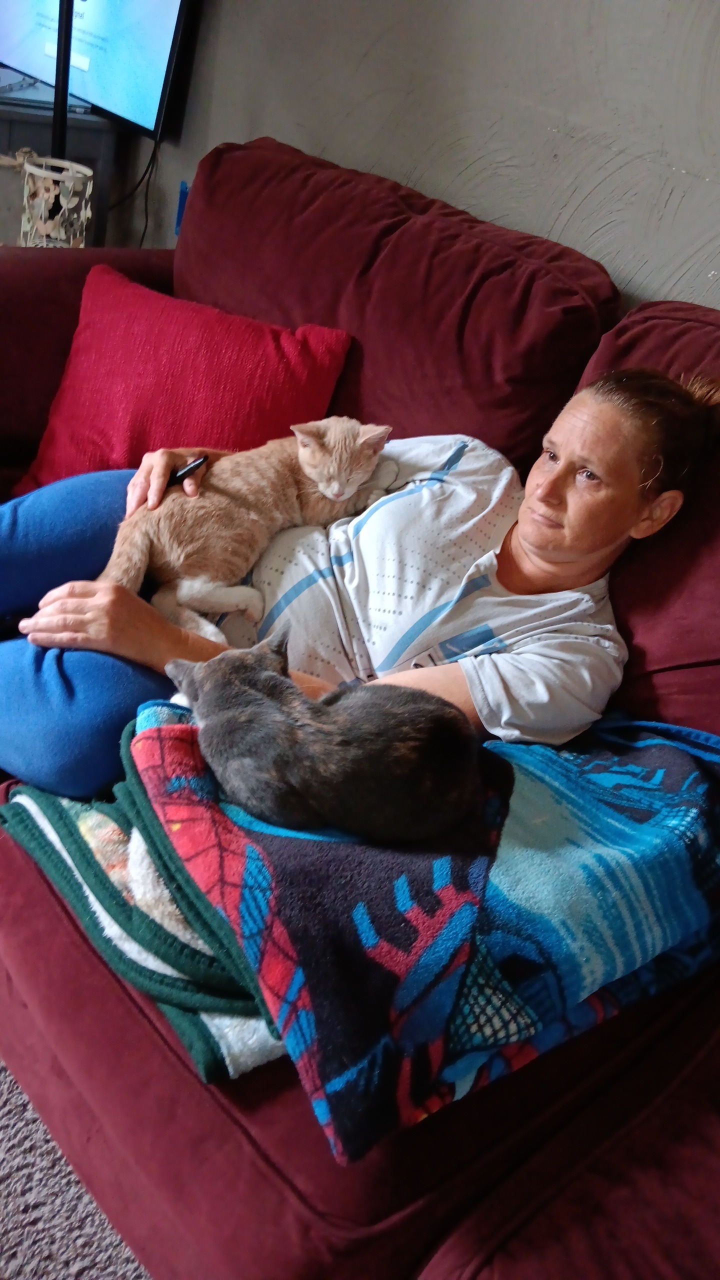 Urgent Surgery Needed for Our Cat's Hip campaign photo, 5 of 6
