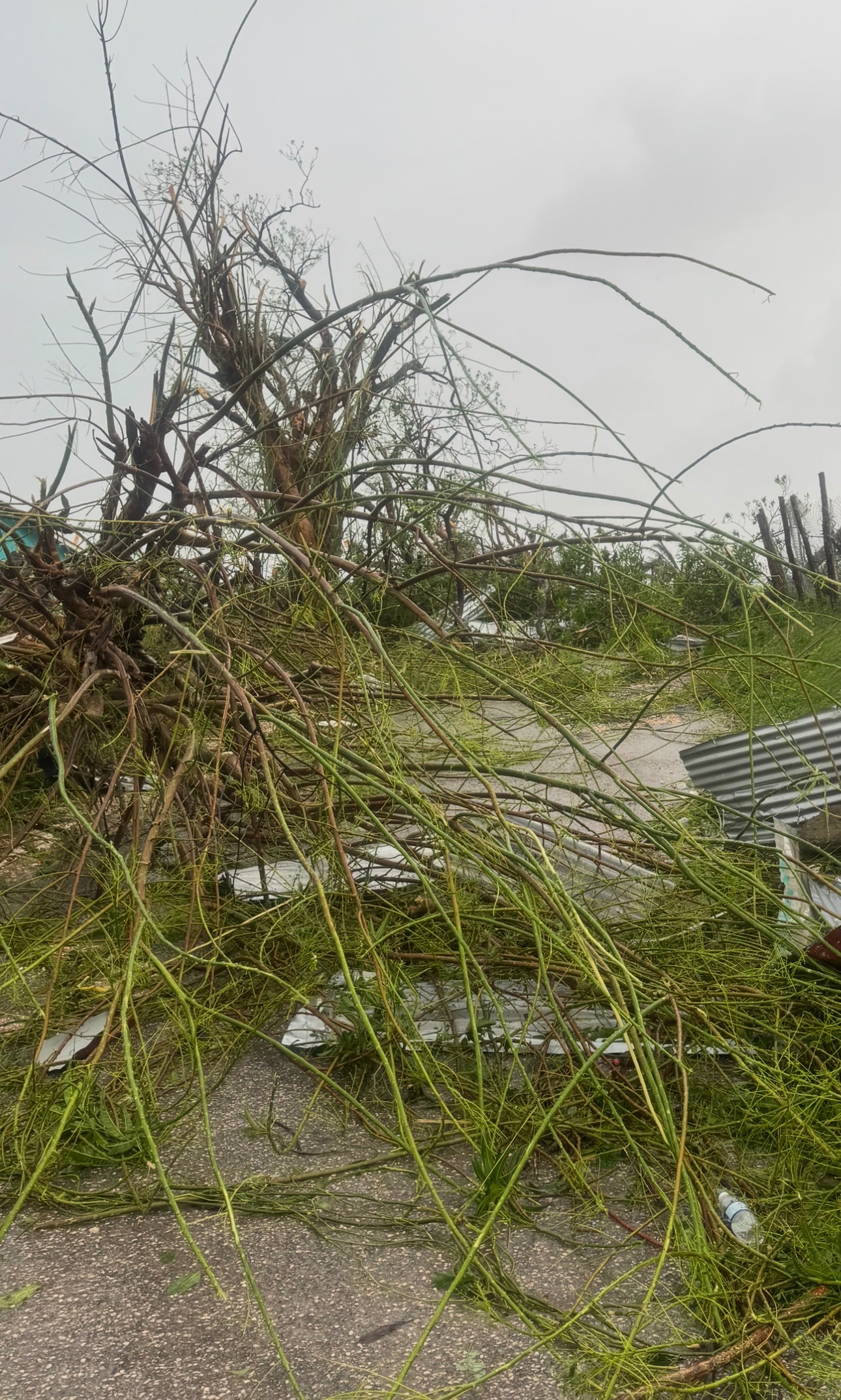 Help Earl Brown Recover from Hurricane campaign photo, 6 of 7