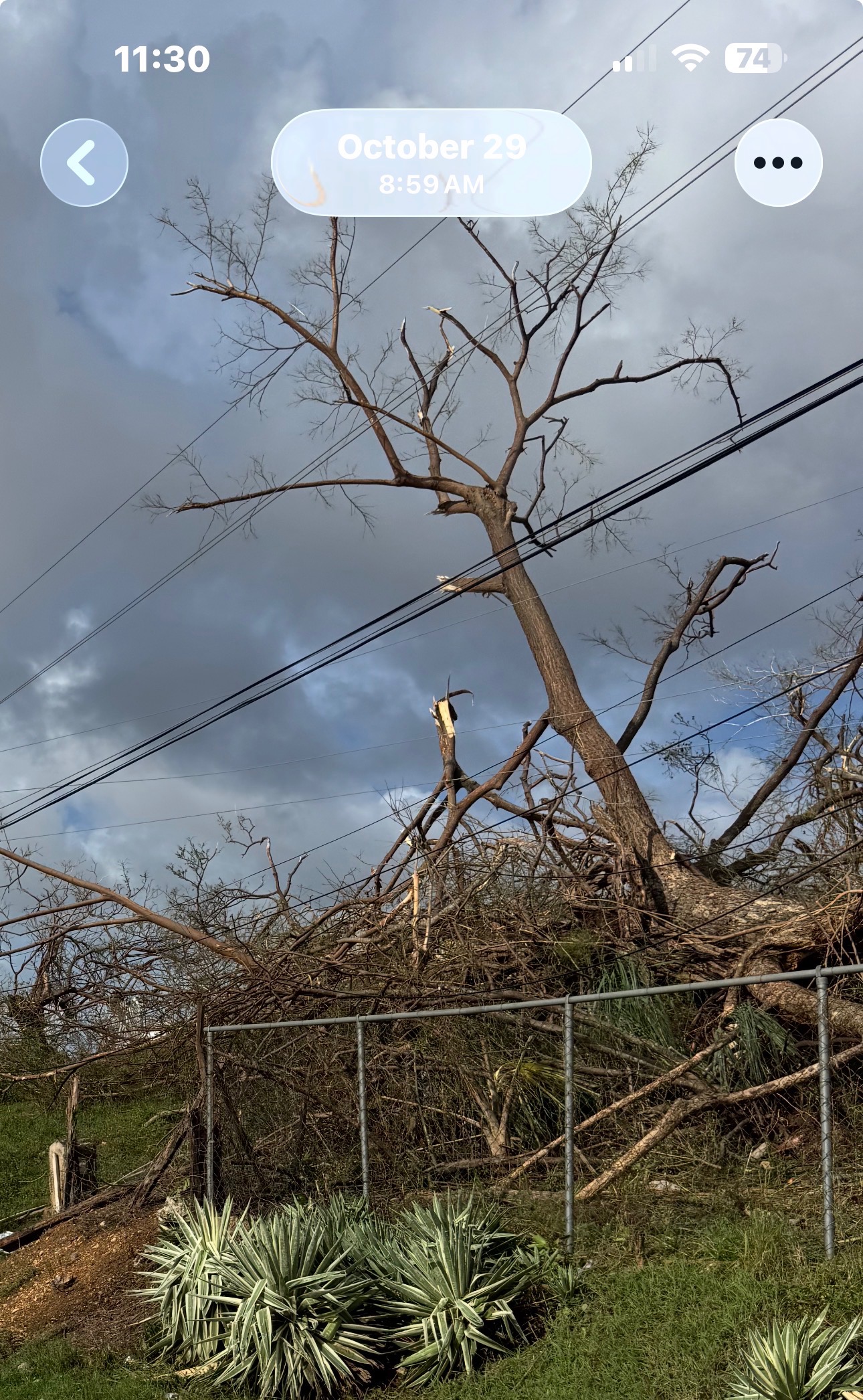 Help Earl Brown Recover from Hurricane campaign photo, 2 of 7