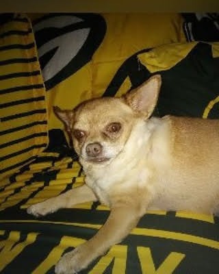 Help Tupac Get Life-Saving Surgery campaign photo, 5 of 8