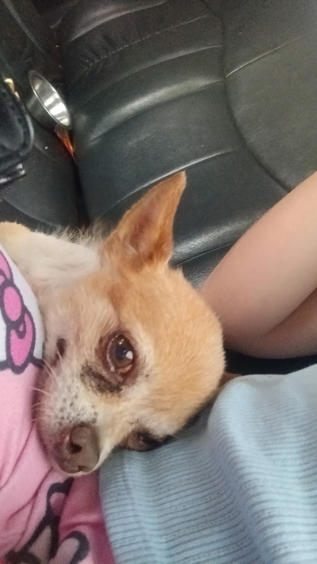Help Tupac Get Life-Saving Surgery campaign photo, 6 of 8