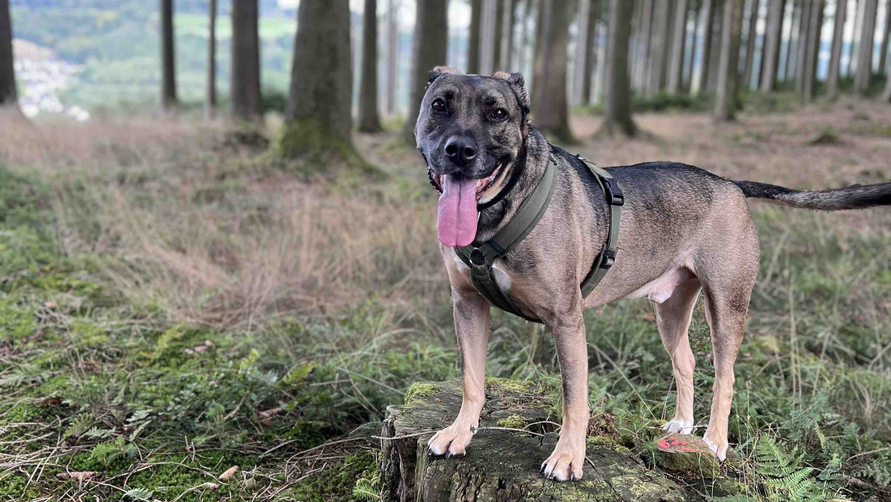 Helft Thorin – Die Chance auf ein gesundes Leben  photo