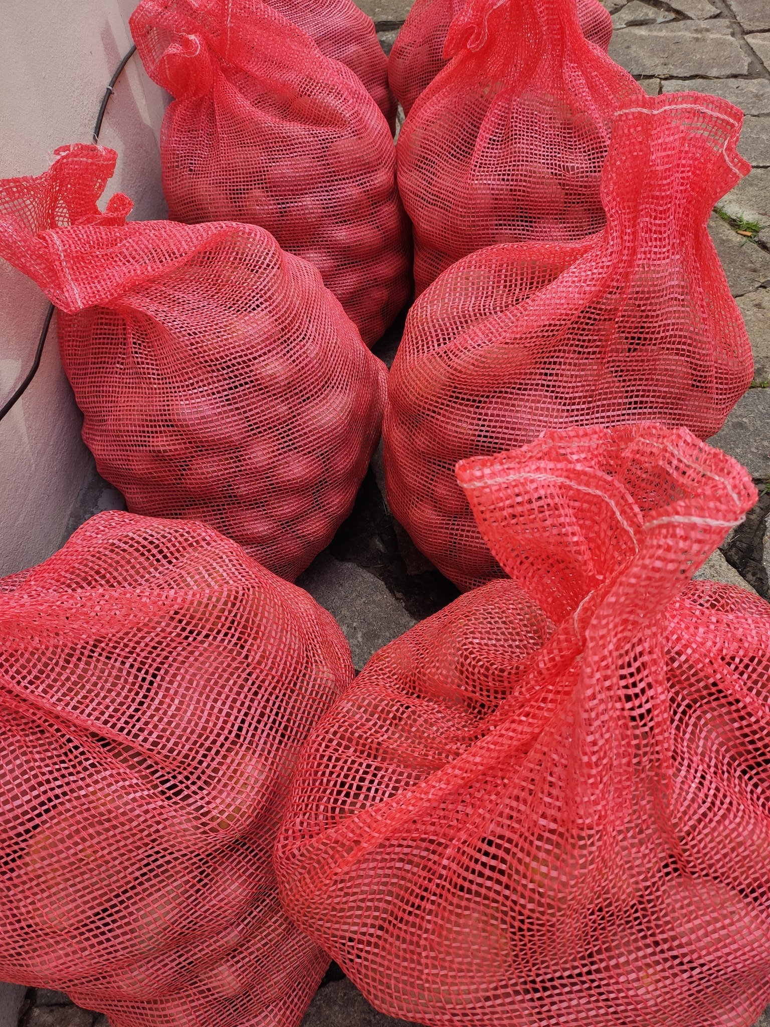 Help Launch Madagascar’s First SteamFresh Fries Project campaign photo, 5 of 8