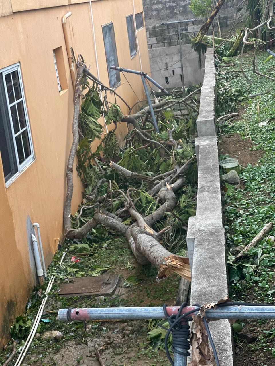 Help rebuild homes in Westmoreland and Montego Bay Jamaica campaign photo, 6 of 8