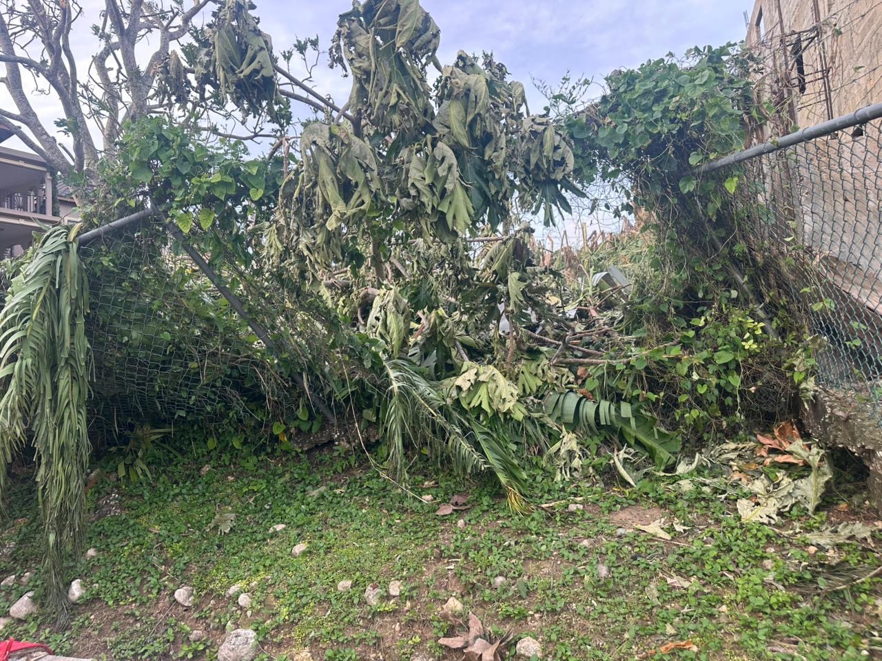 Help rebuild homes in Westmoreland and Montego Bay Jamaica campaign photo, 4 of 8
