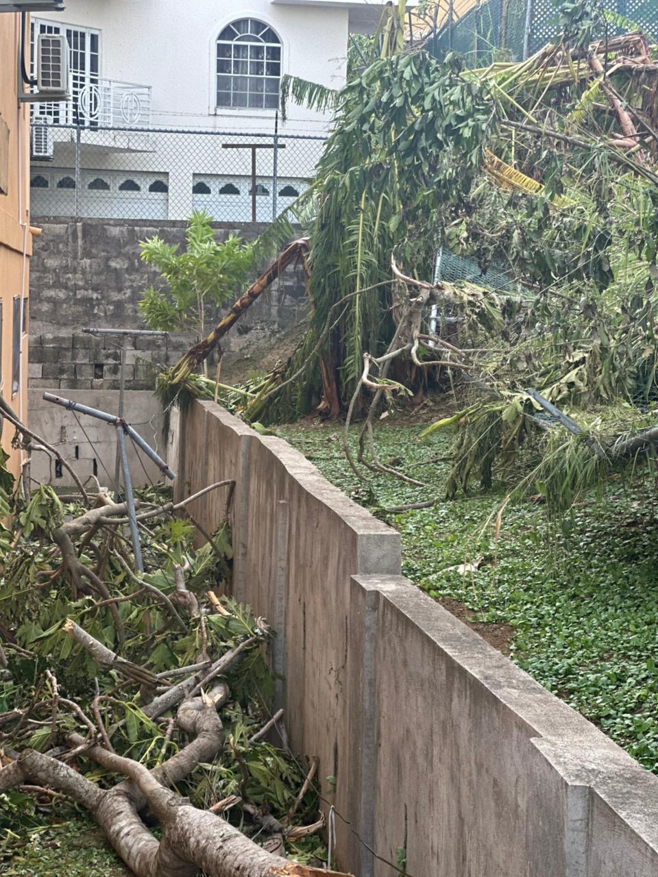 Help rebuild homes in Westmoreland and Montego Bay Jamaica campaign photo, 5 of 8
