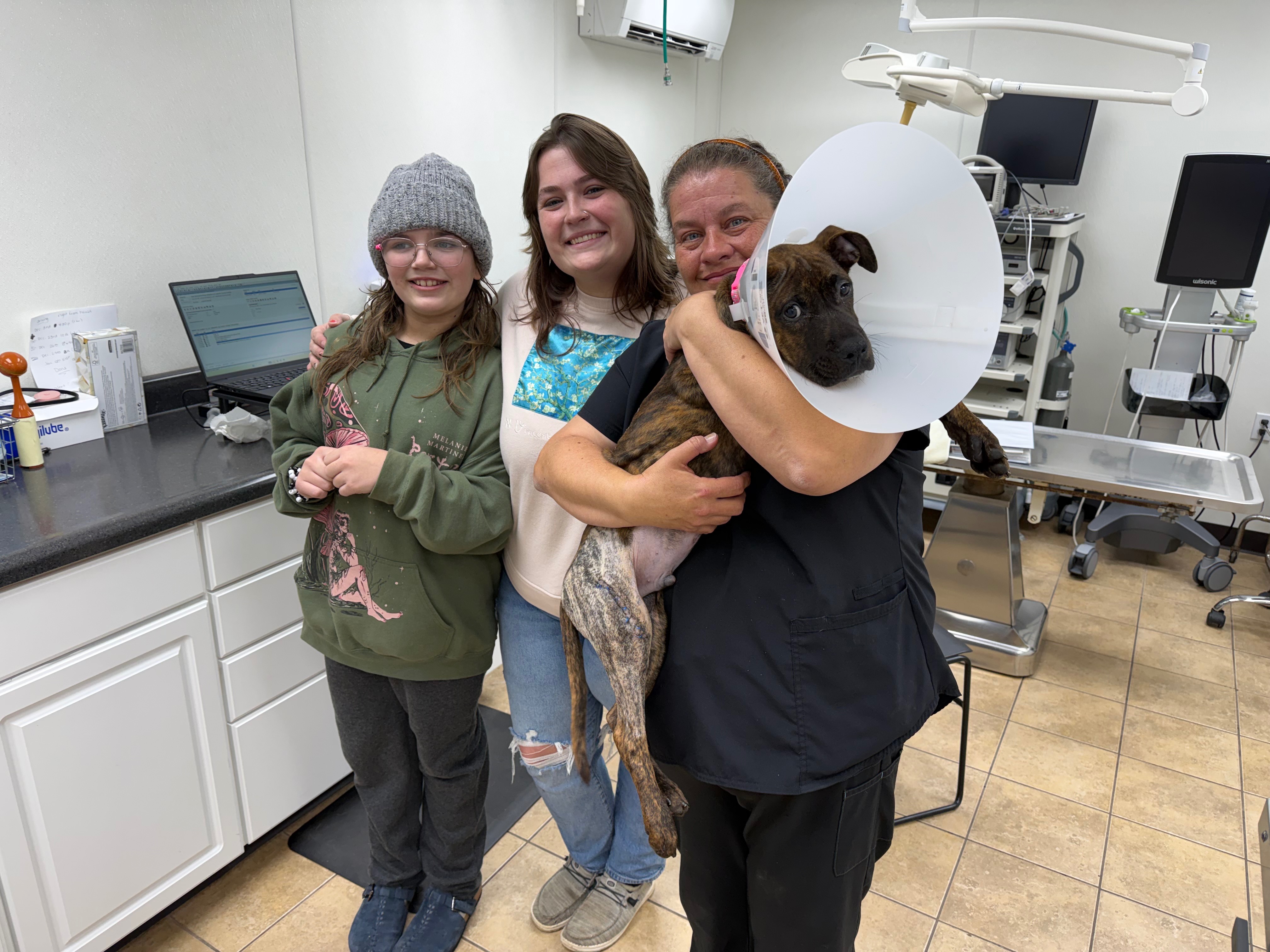 A shelter pups leg saving surgery campaign photo, 4 of 7