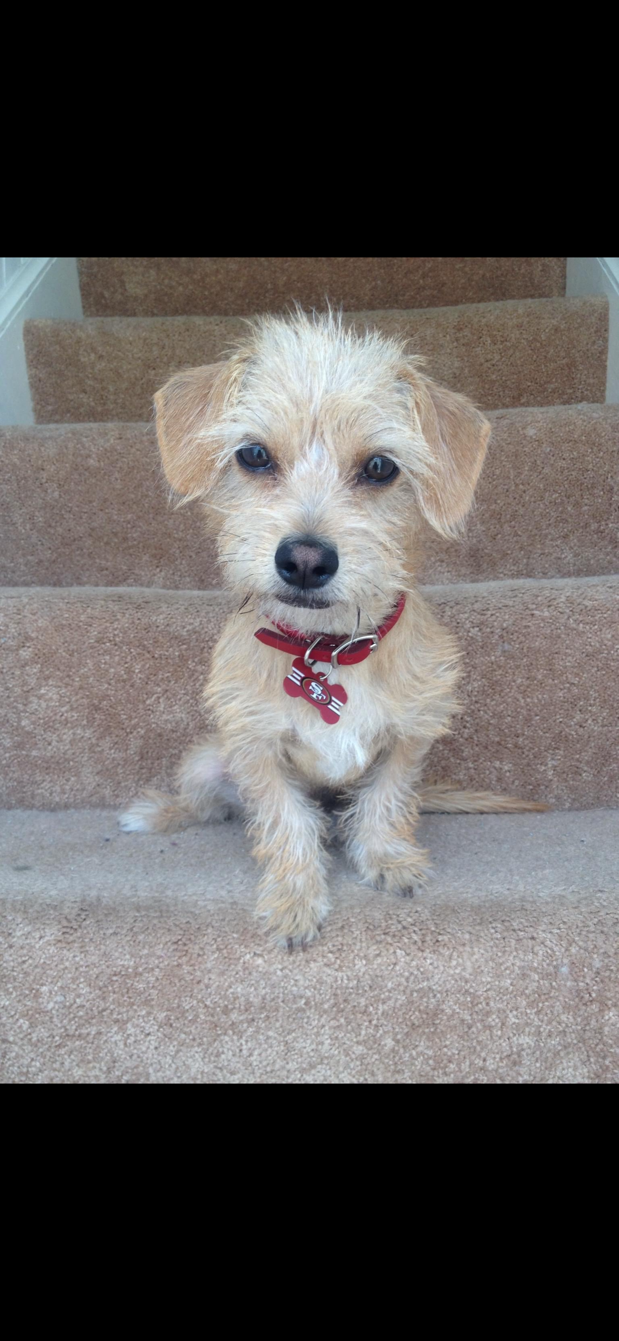 Donate for Walter's Urgent Medical Needs campaign photo, 5 of 8