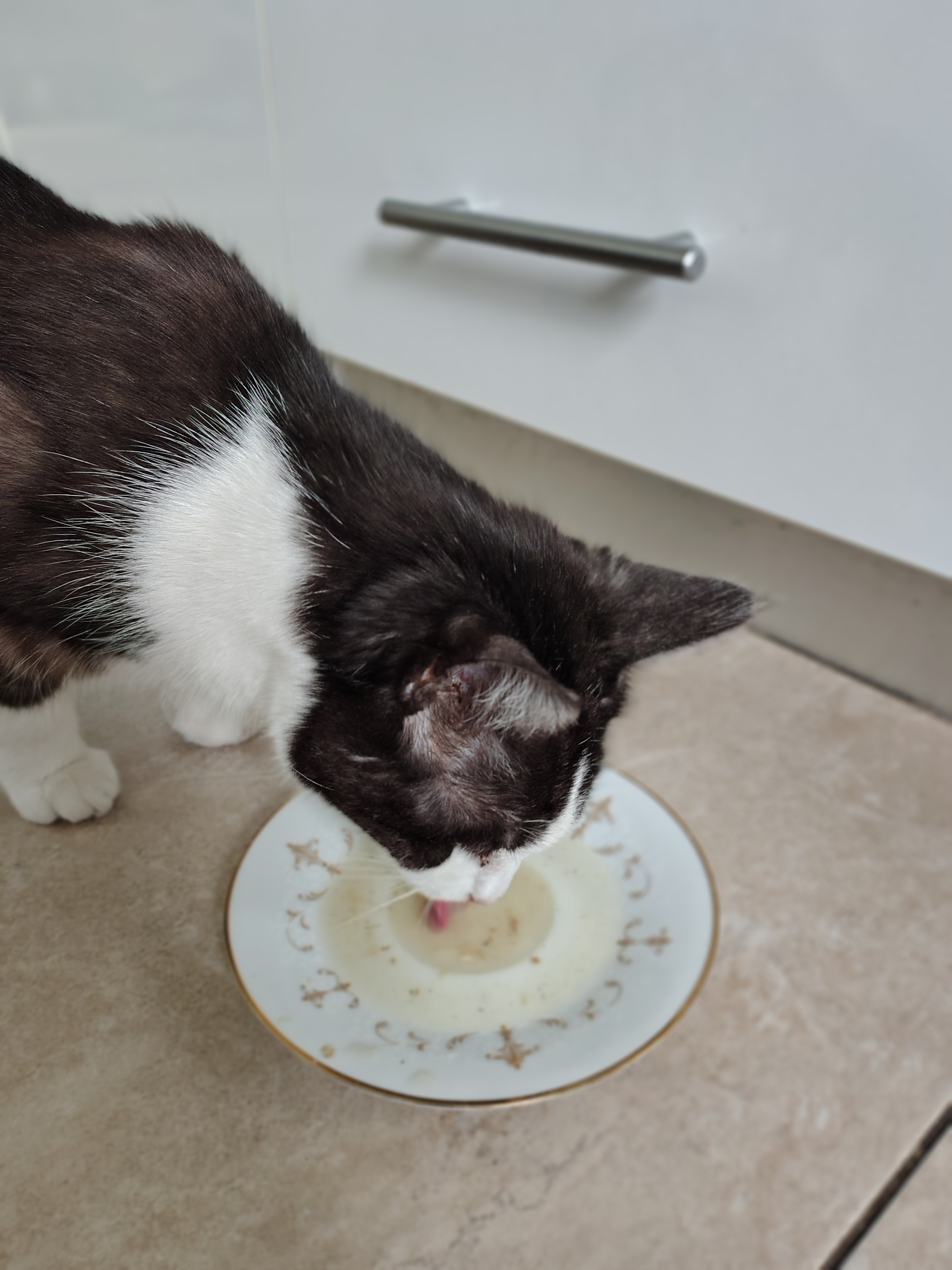Smokey's Medical Care campaign photo, 6 of 7