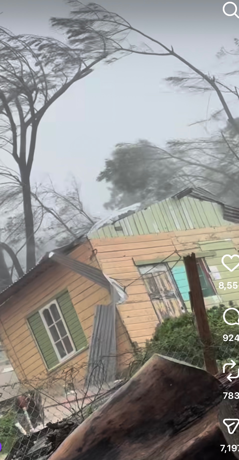 Support Antomar's Loved Ones After Hurricane campaign photo, 5 of 6