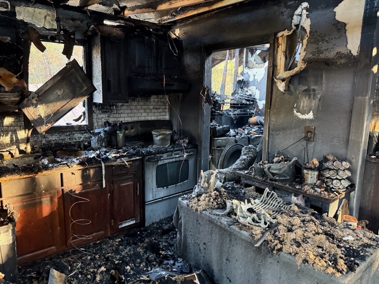 User-uploaded image 1