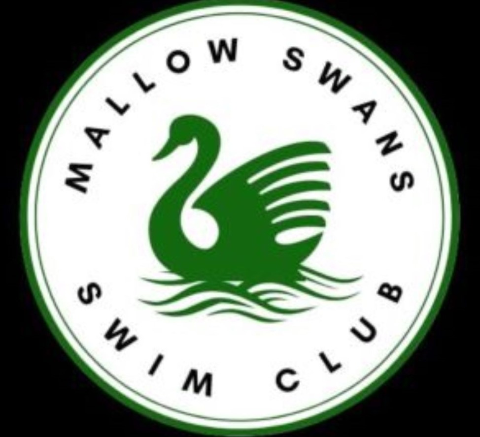 User-uploaded image 1