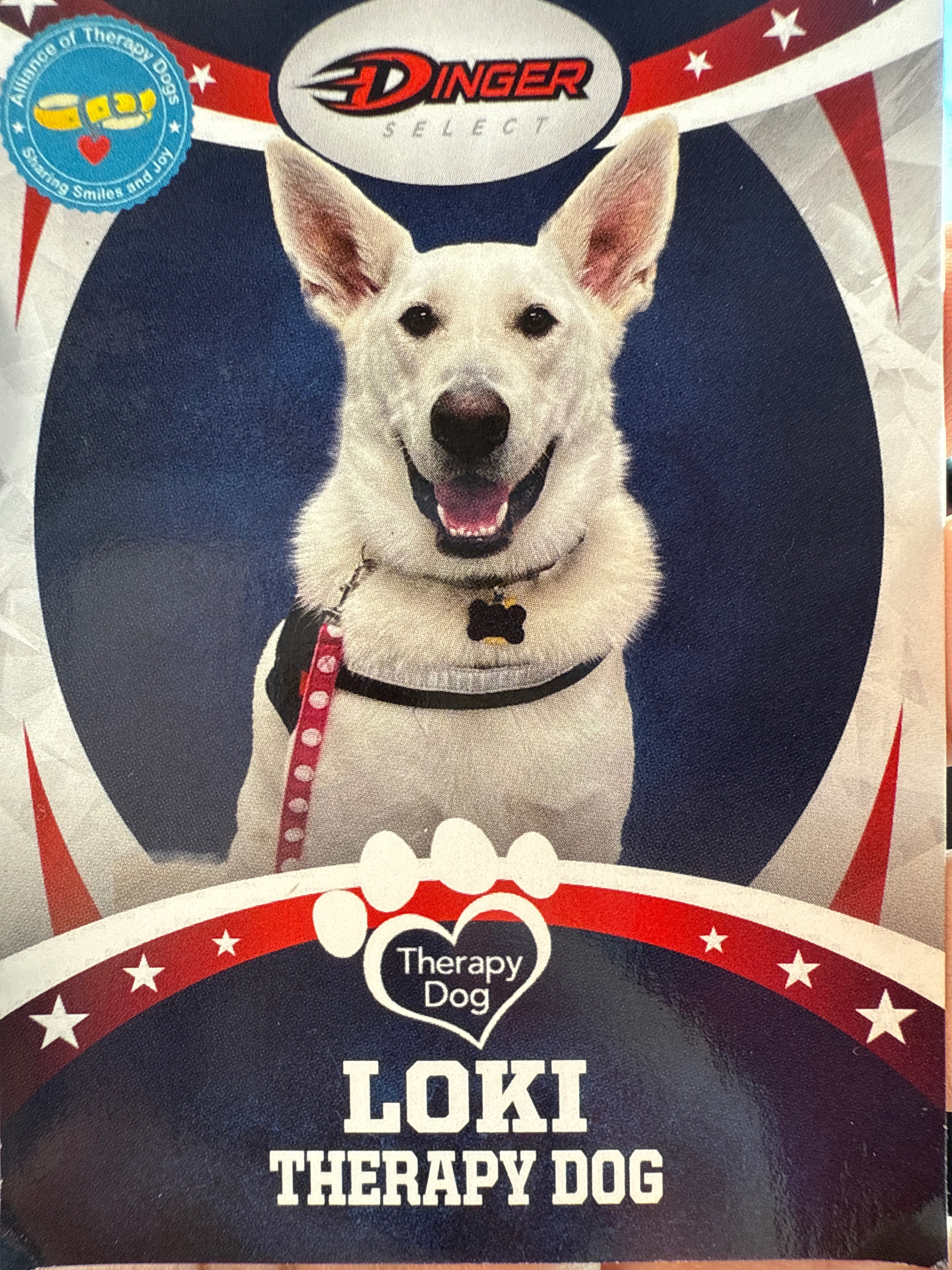 Help Loki the School Therapy Dog Get Back to School campaign photo, 5 of 6