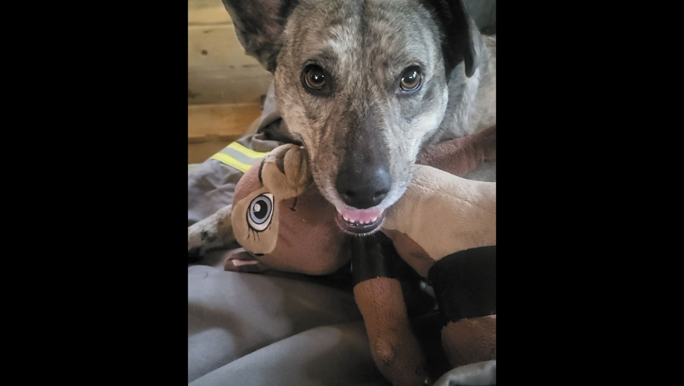 Help WuBeeGirl Get Life-Saving Treatment photo