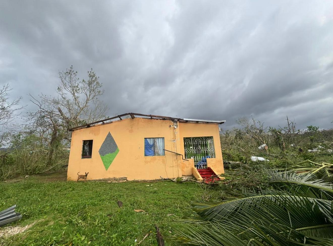 Help Rebuild Mama Birdie’s Home After Hurricane Melissa campaign photo, 7 of 8