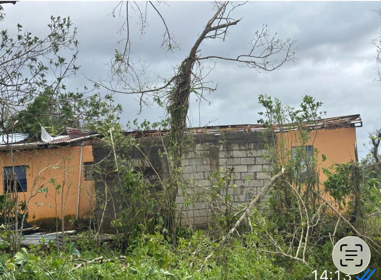 Help Rebuild Mama Birdie’s Home After Hurricane Melissa campaign photo, 2 of 8