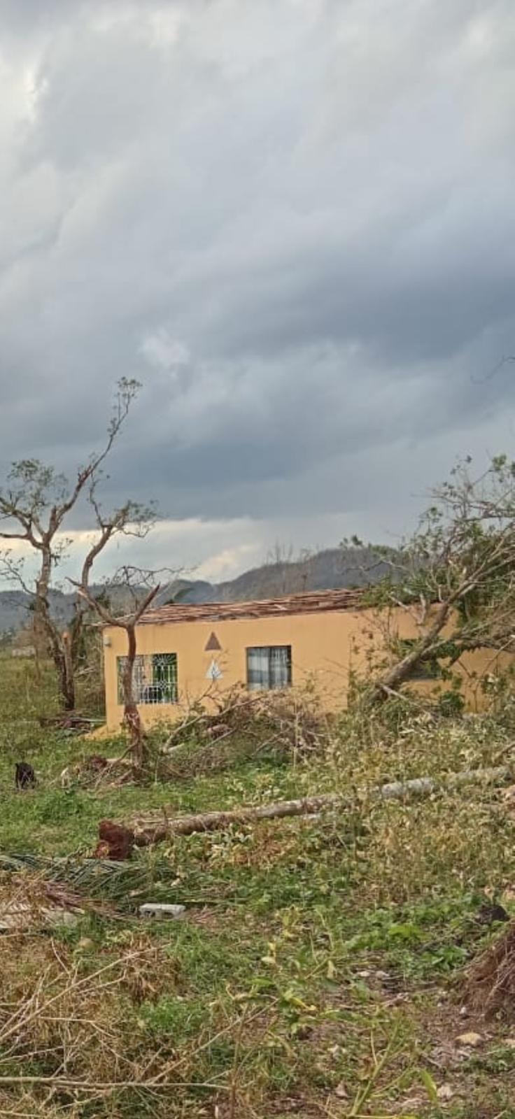 Help Rebuild Mama Birdie’s Home After Hurricane Melissa campaign photo, 5 of 8