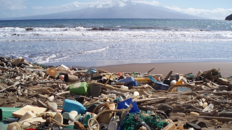 Save Our Shores campaign photo, 2 of 4