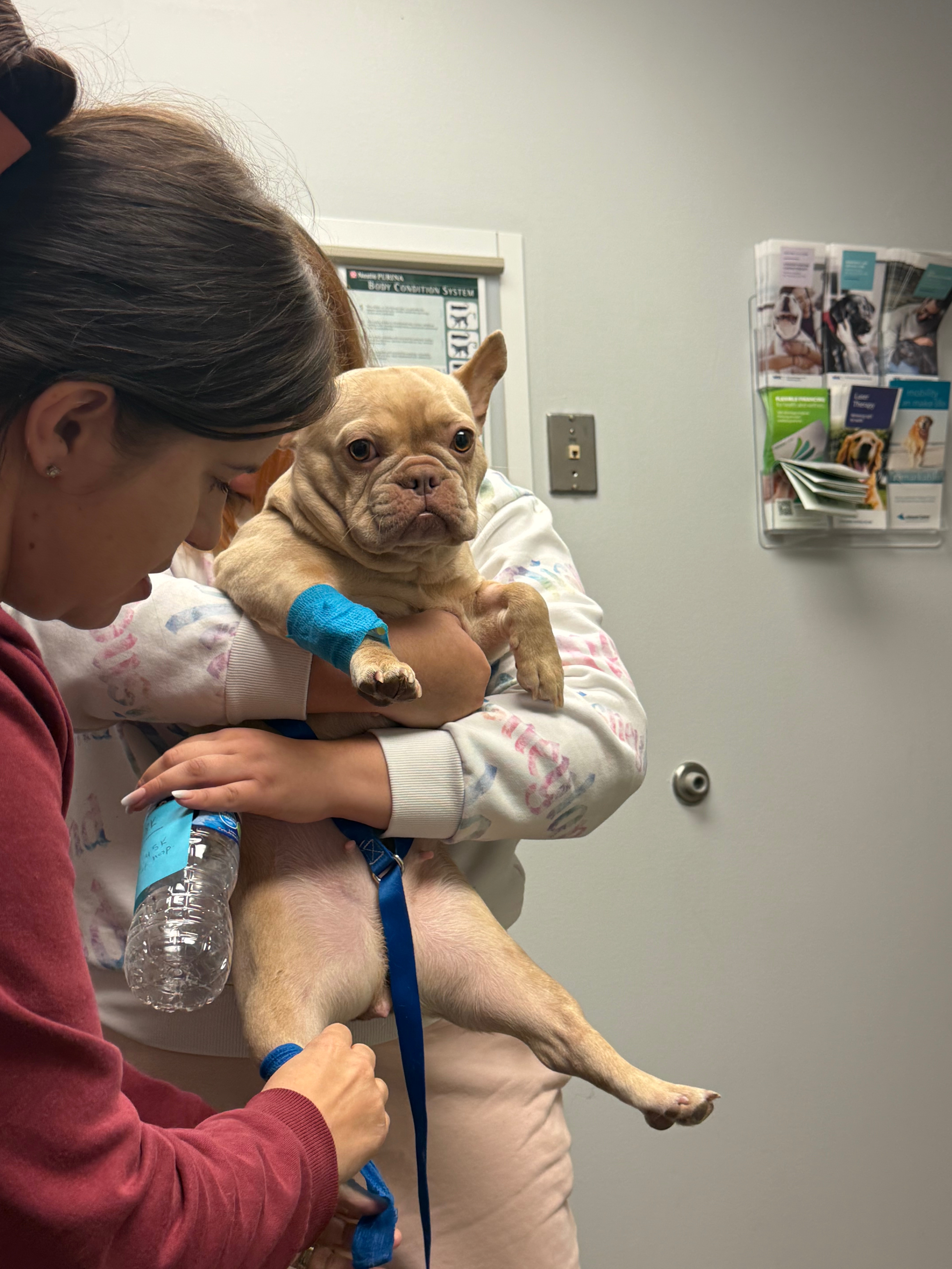 Chloe Needs Life-Saving Surgery campaign photo, 2 of 7