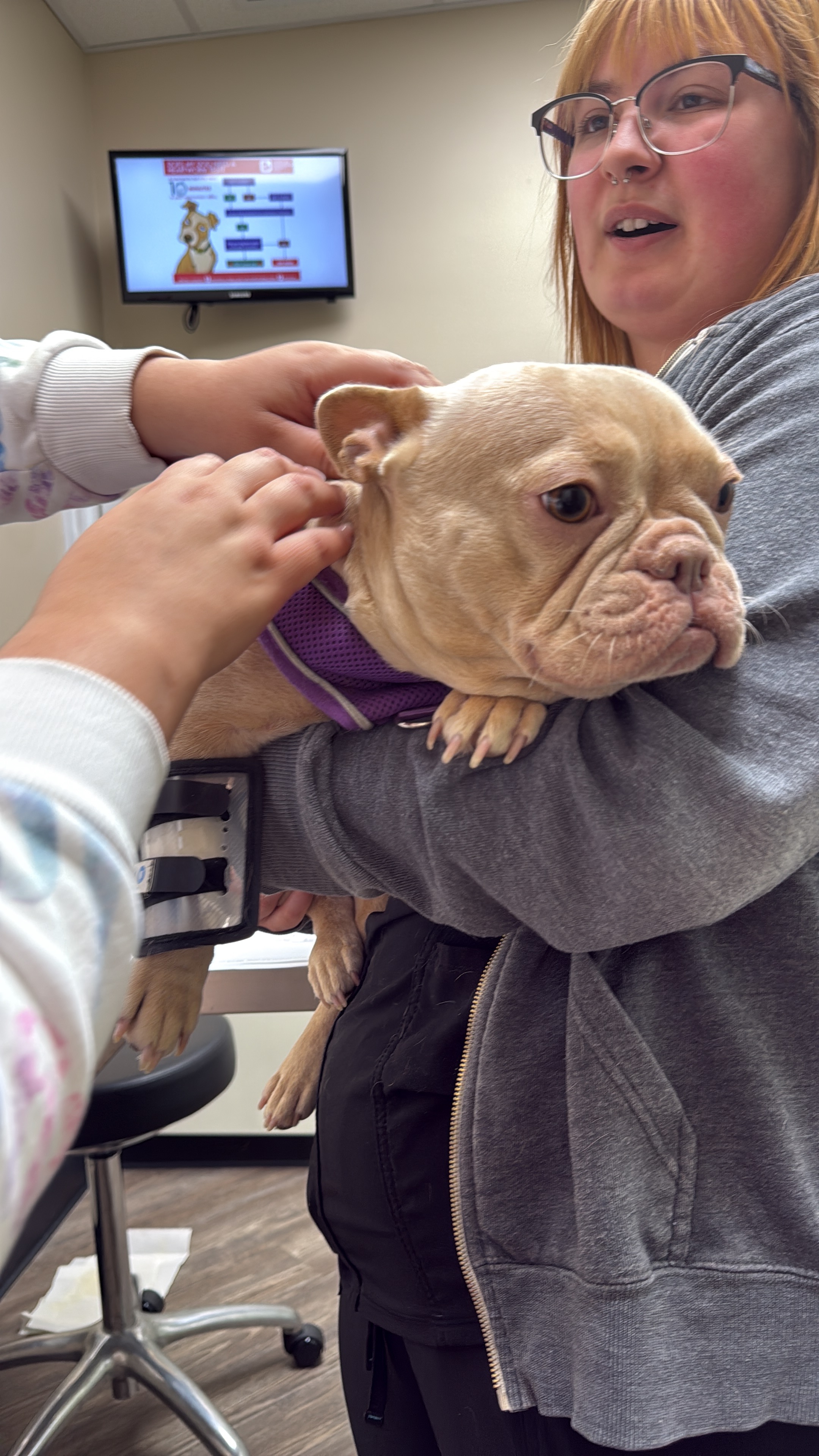 Chloe Needs Life-Saving Surgery campaign photo, 4 of 7