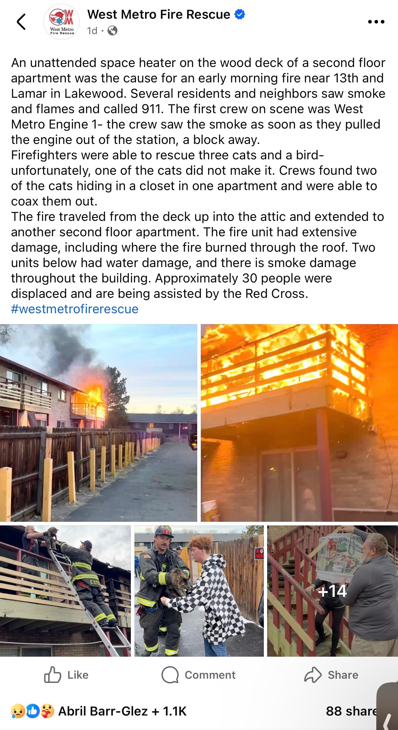 User-uploaded image 1