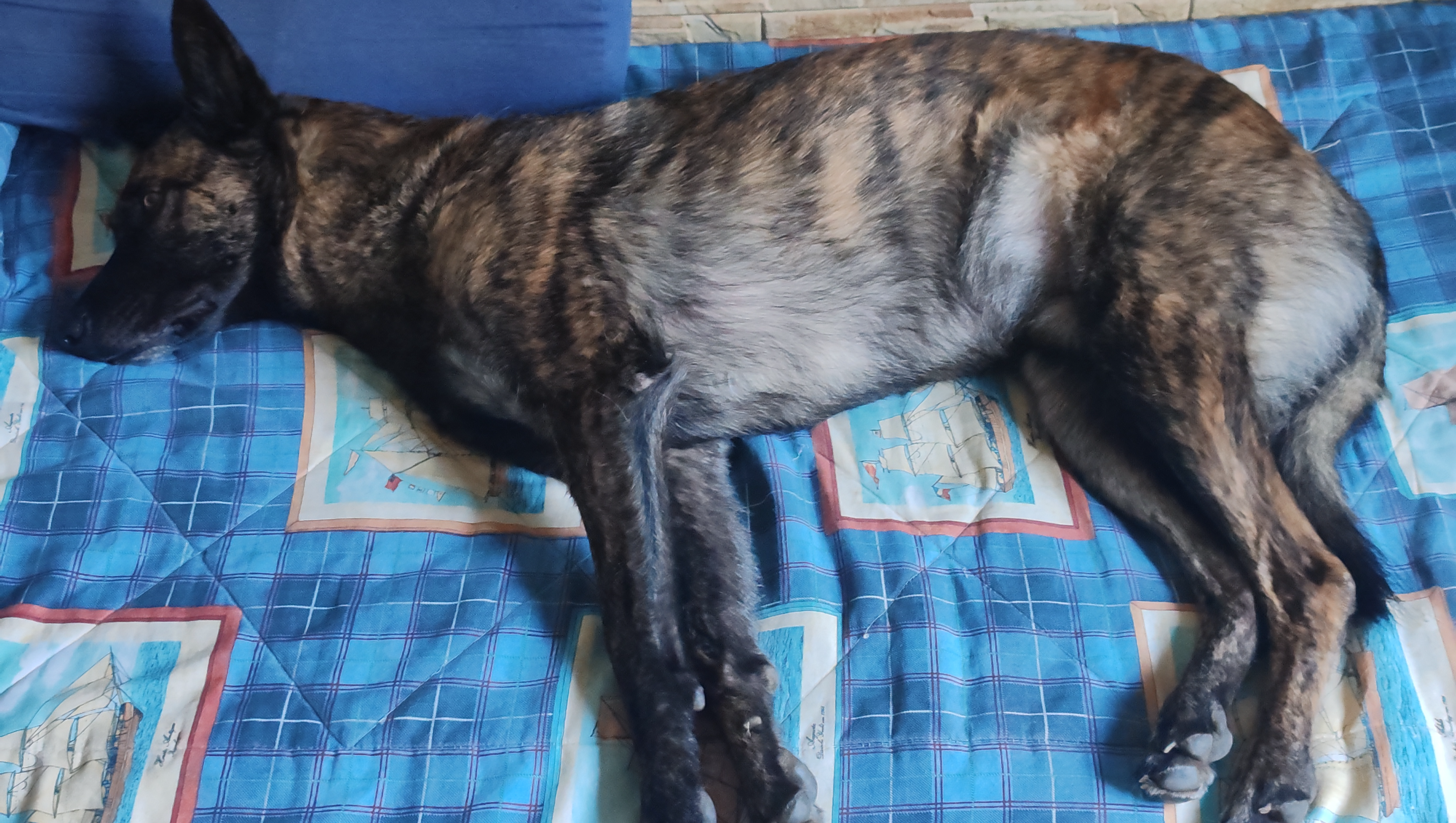 AYUDA A BHIUR URGENTE!!!!