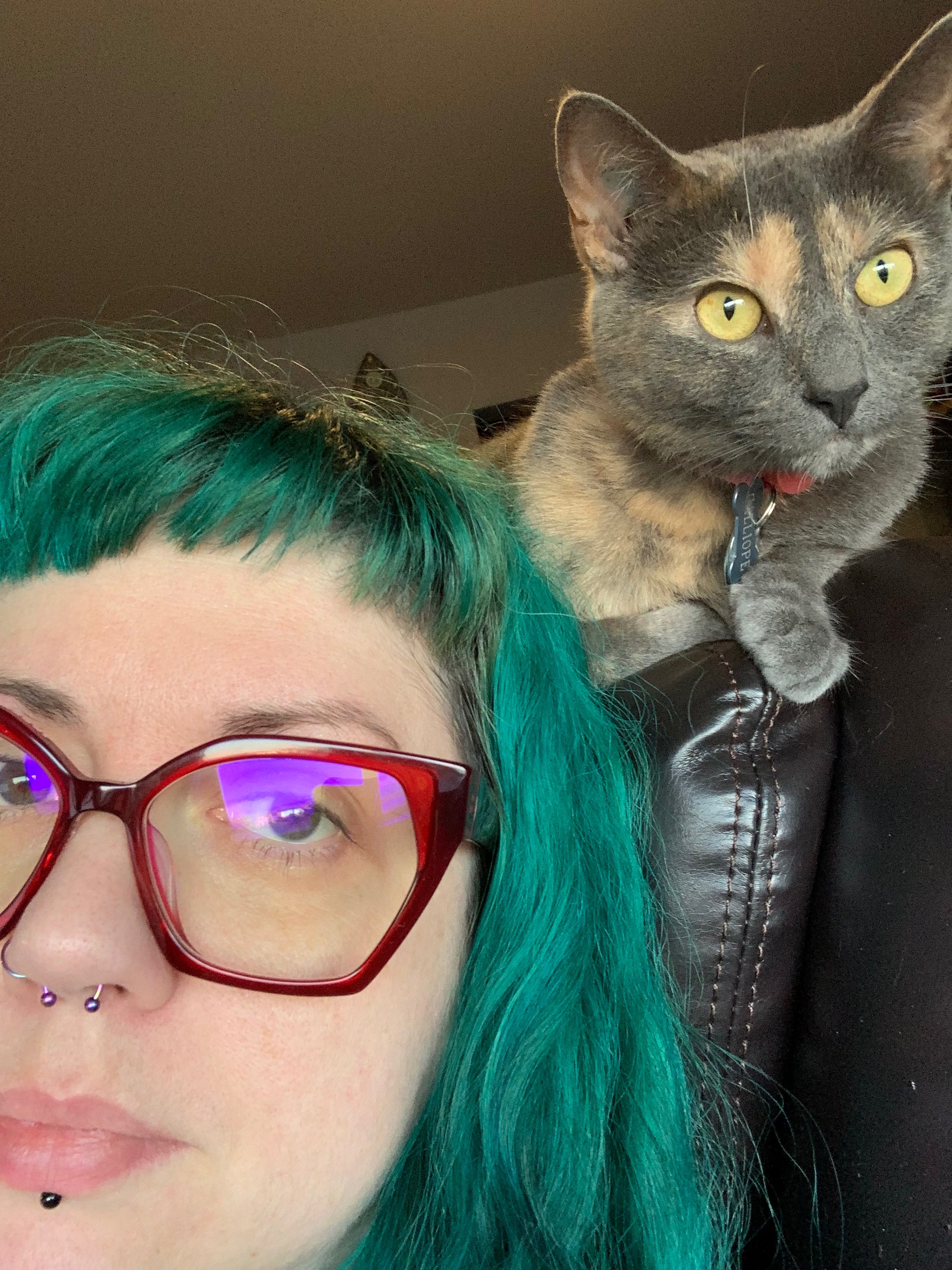 Calliope's Vet Costs campaign photo, 2 of 6