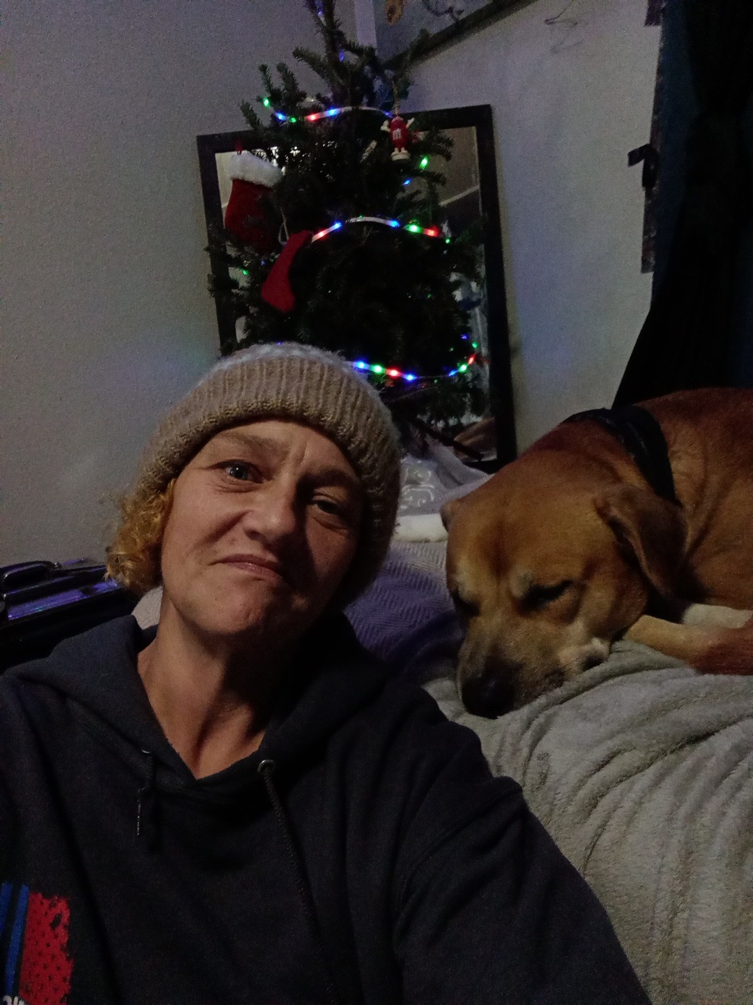 Help Brook & Sweetpea save their home on wheels after Helene campaign photo, 7 of 8