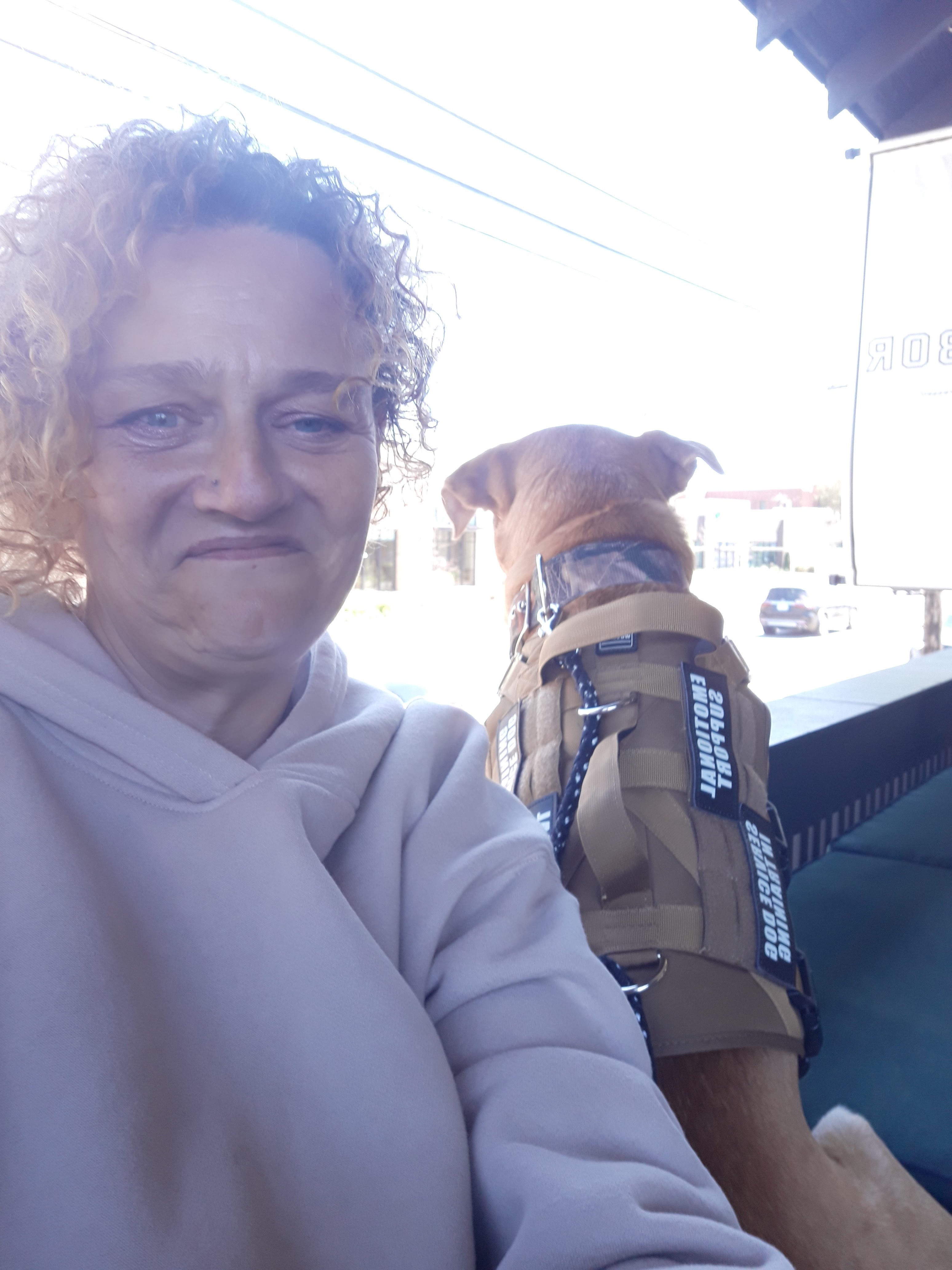 Help Brook & Sweetpea save their home on wheels after Helene campaign photo, 5 of 8
