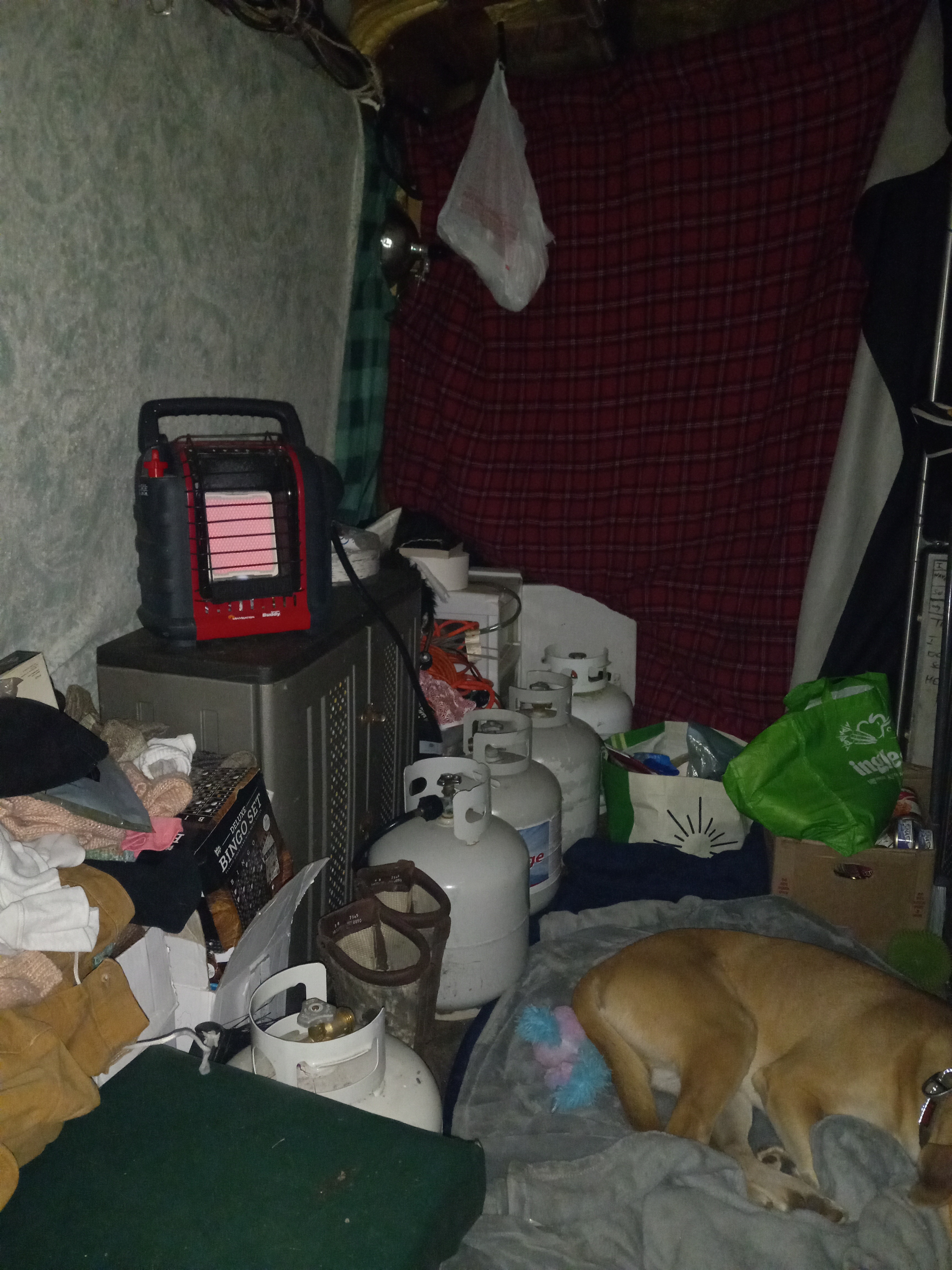 Help Brook & Sweetpea save their home on wheels after Helene campaign photo, 6 of 8
