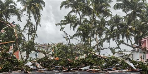 Support Rick and Eartha's Jamaica Relief Effort campaign photo, 5 of 6