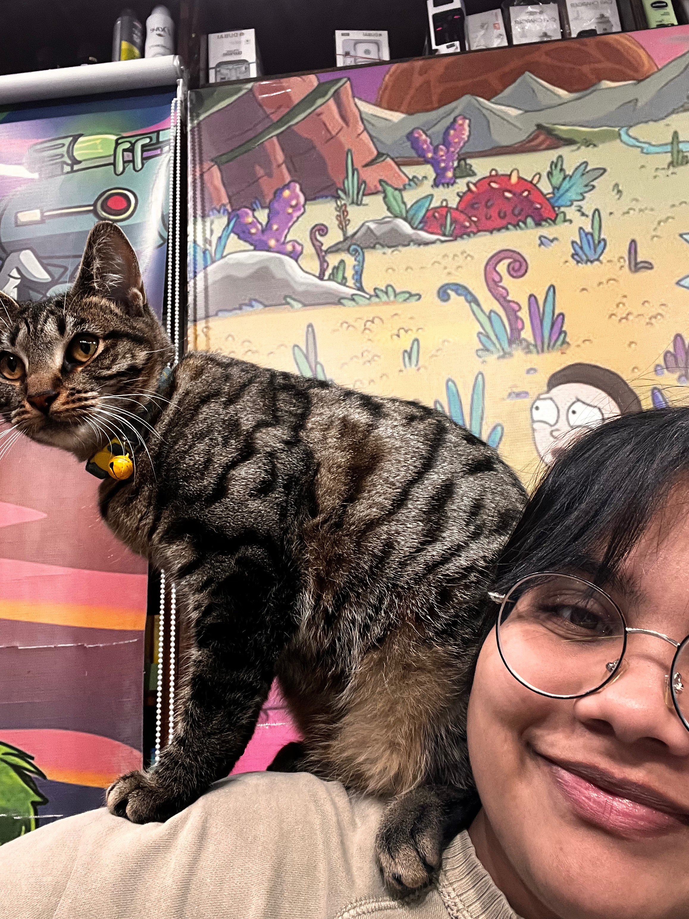Bushwick bodega kittens need life-saving vet care campaign photo, 4 of 8