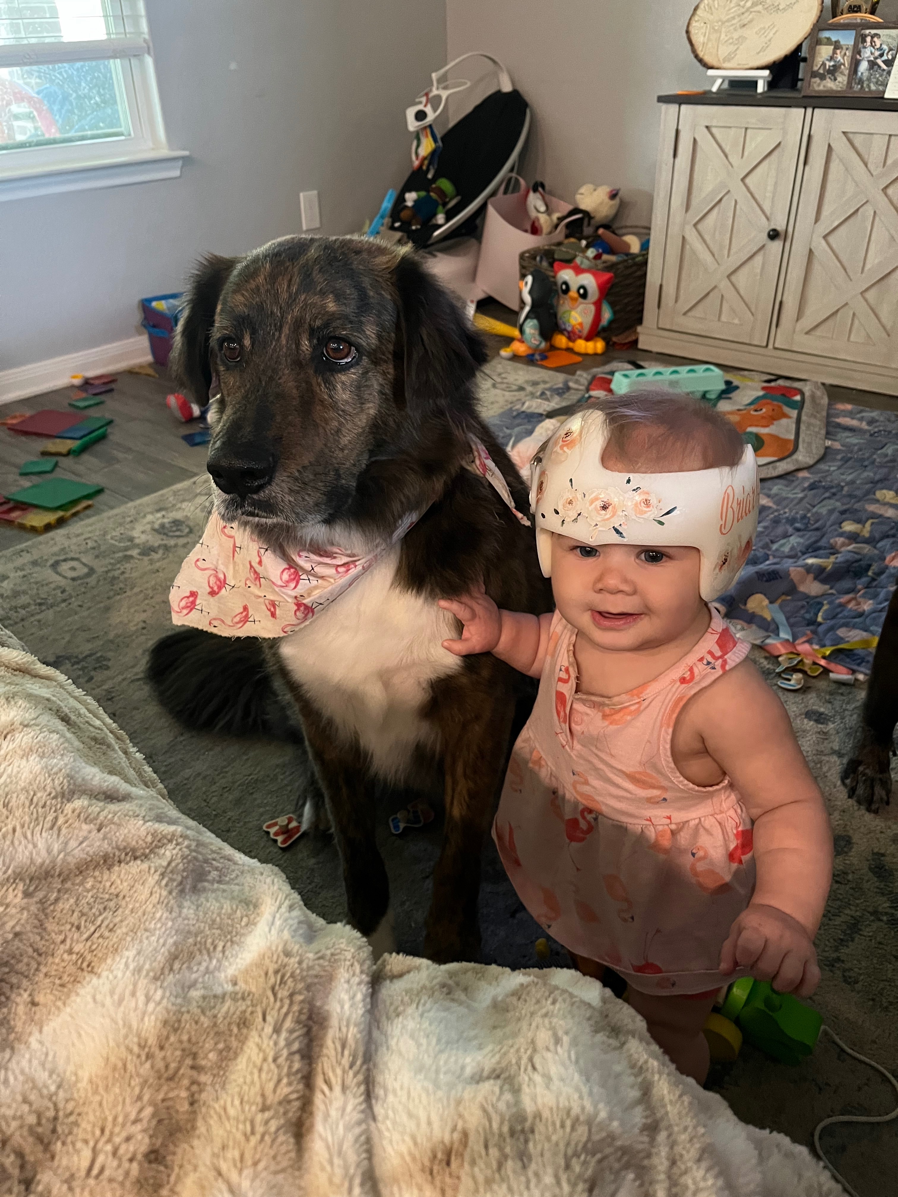 Help Rylie dog fight cancer campaign photo, 2 of 8