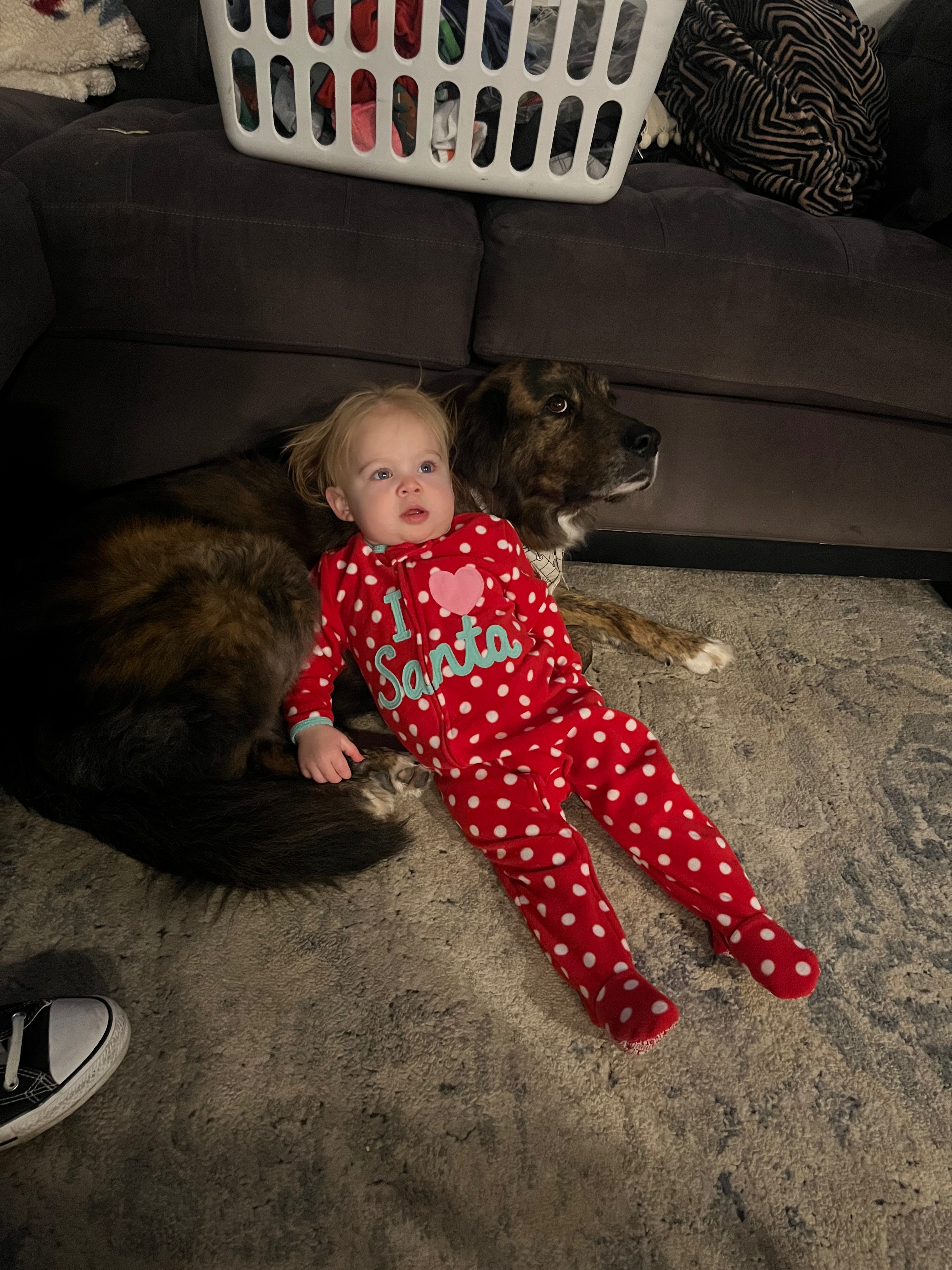 Help Rylie dog fight cancer campaign photo, 4 of 8