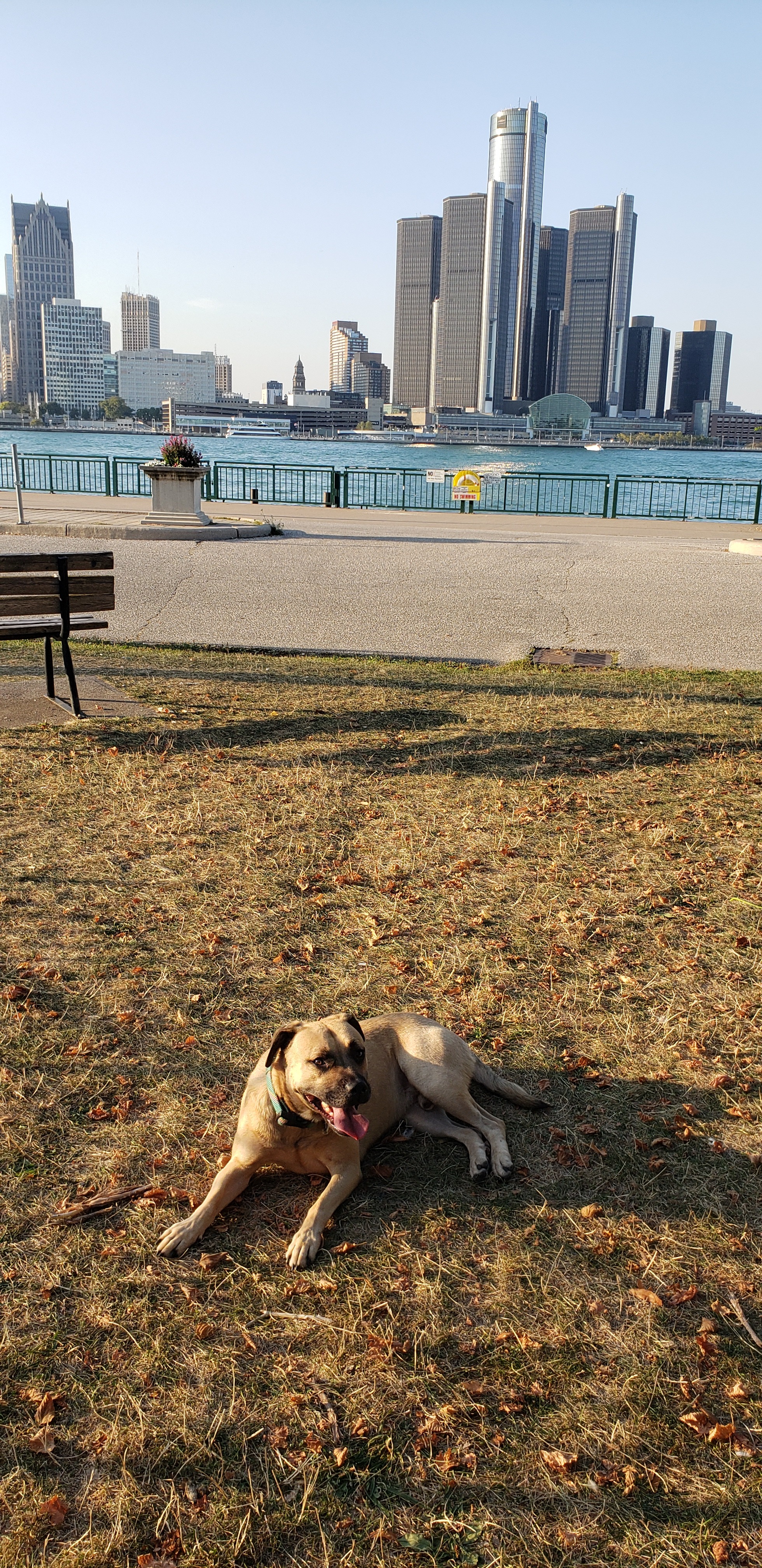 Support Brutus' Veterinary care campaign photo, 5 of 7