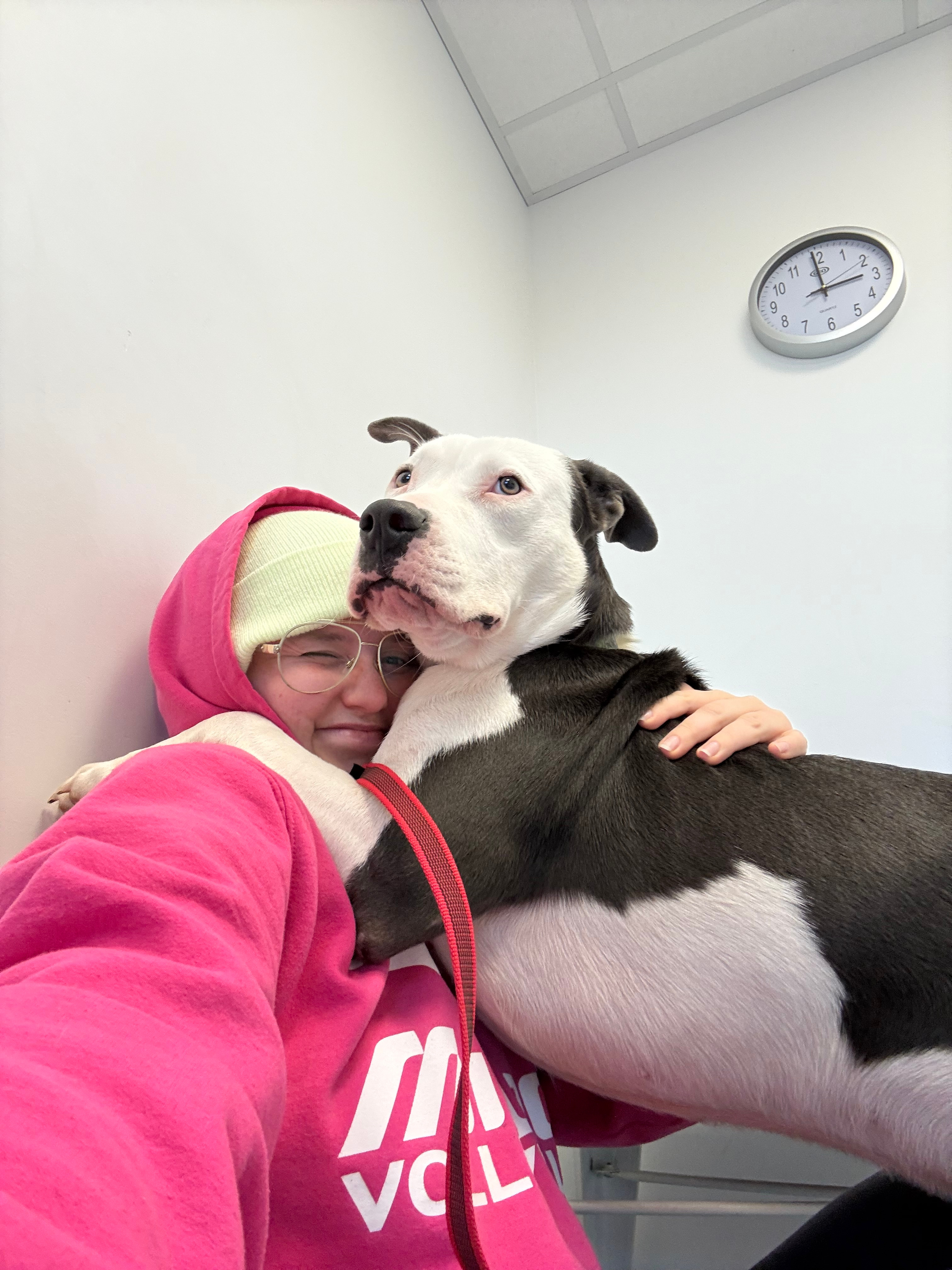 Hugo’s Heartworm Healing campaign photo, 2 of 7