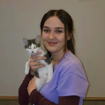 Support Colleen Donnelly's Vet Outreach in Cambodia campaign photo, 2 of 6