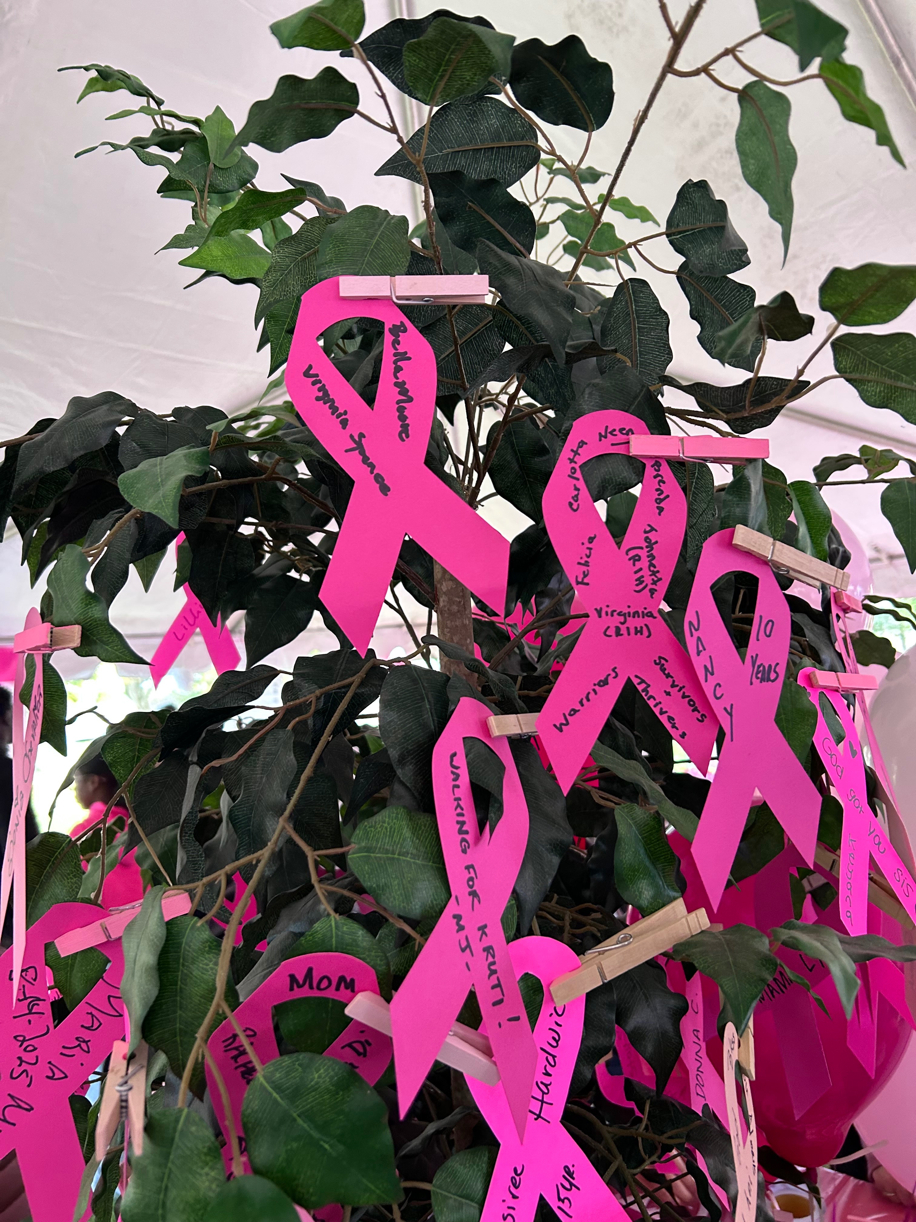 Help My Sister Recover from a Mastectomy-Breast Cancer campaign photo, 2 of 8