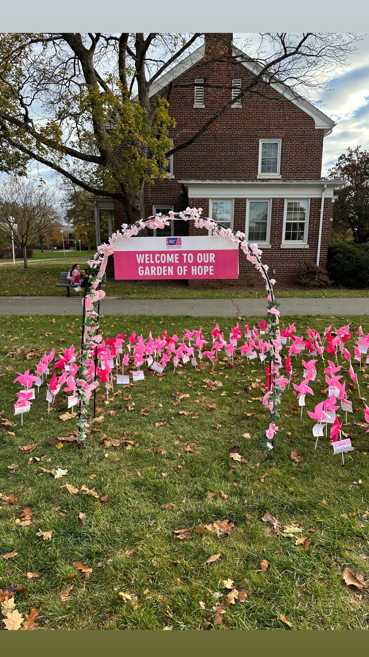 Help My Sister Recover from a Mastectomy-Breast Cancer campaign photo, 5 of 8