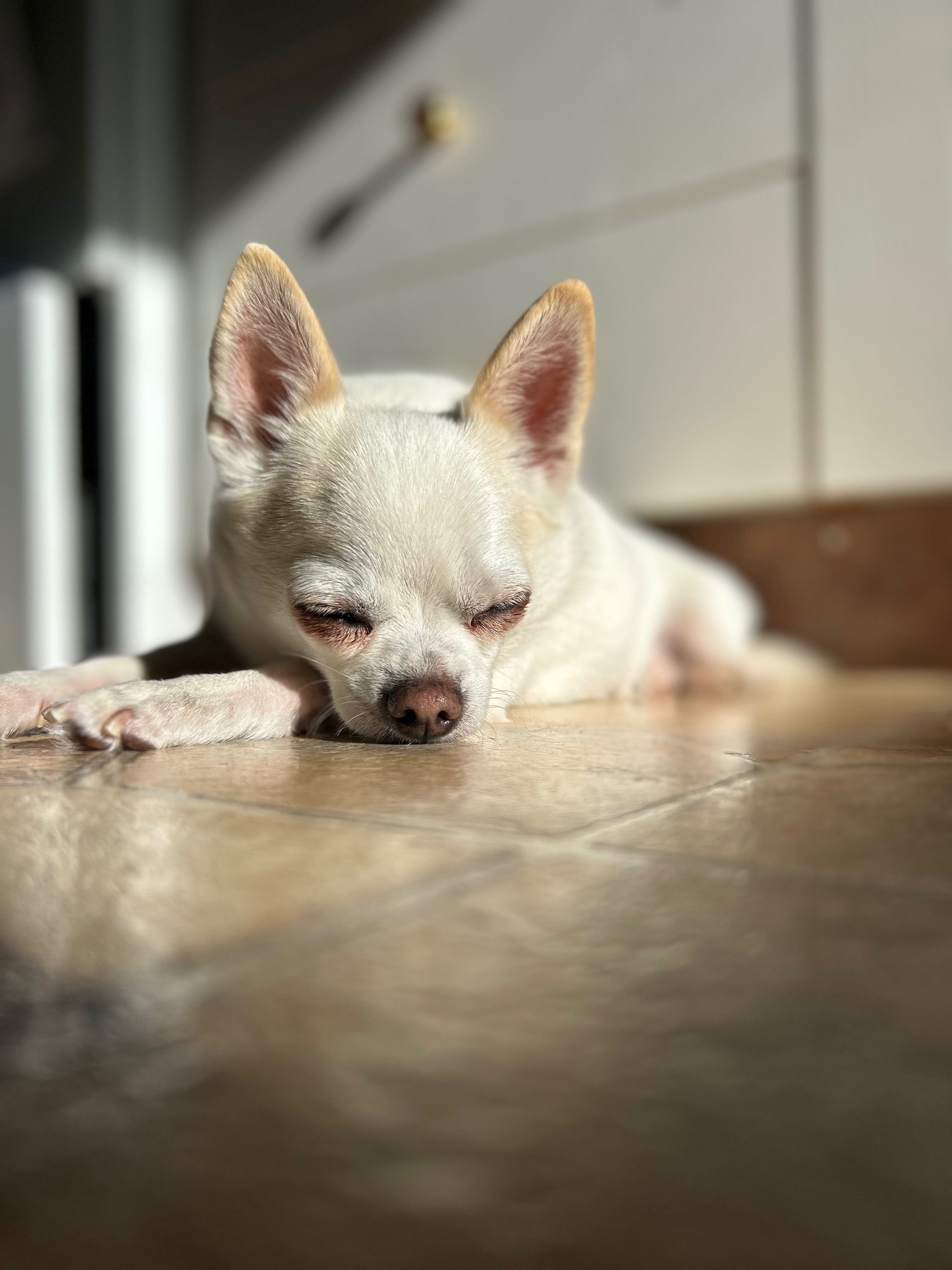 Dentisterie d’urgence campaign photo, 4 of 7