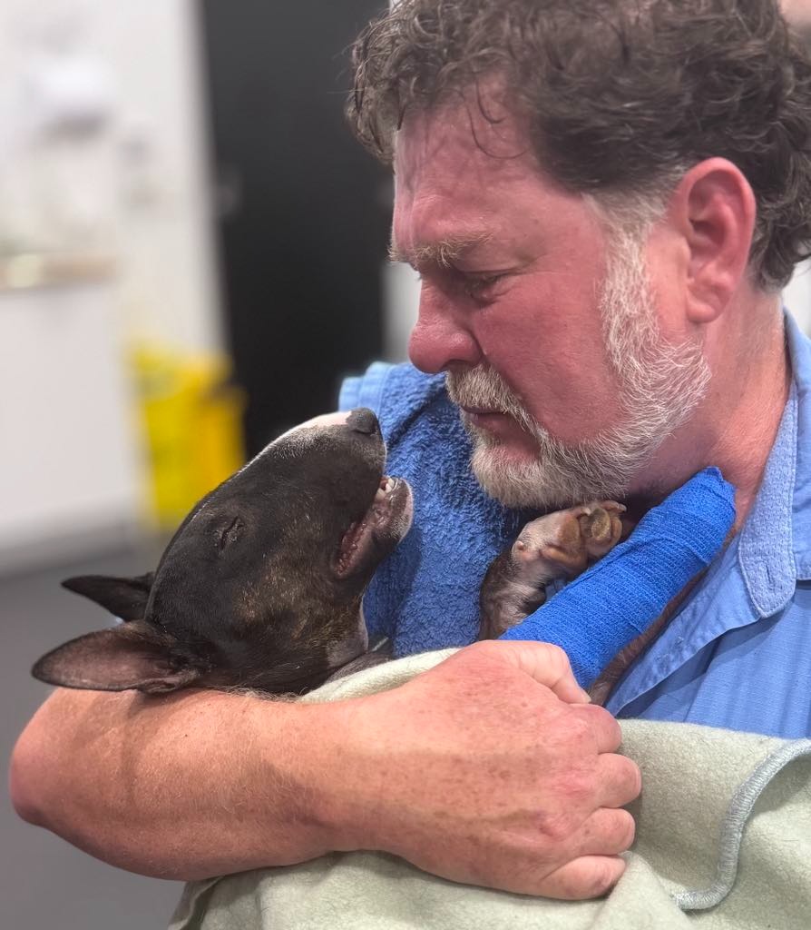 Help save Lexi ( WE LOST OUR LITTLE GIRL) campaign photo, 2 of 4