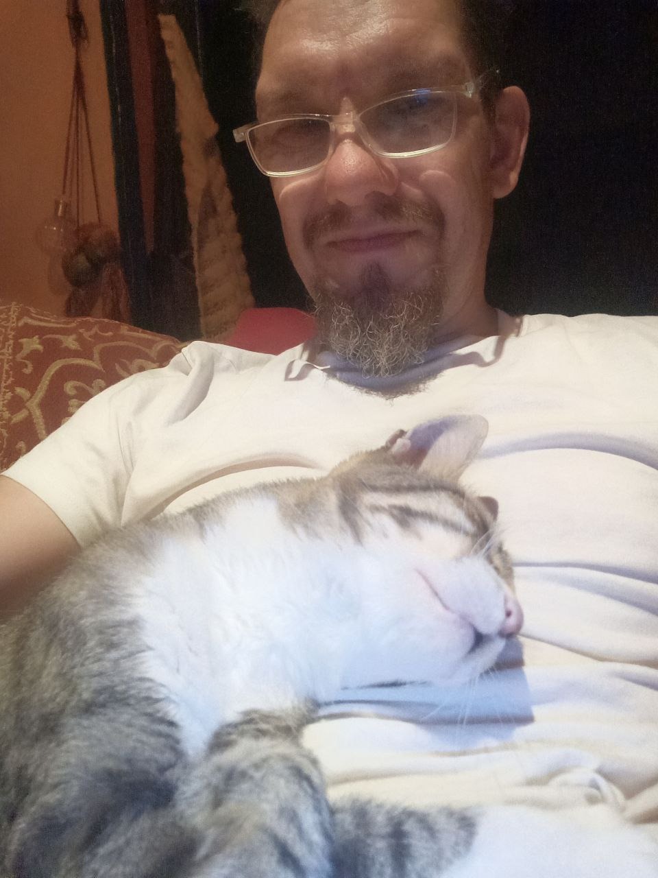 Help Me Secure Luna's Medication campaign photo, 4 of 6