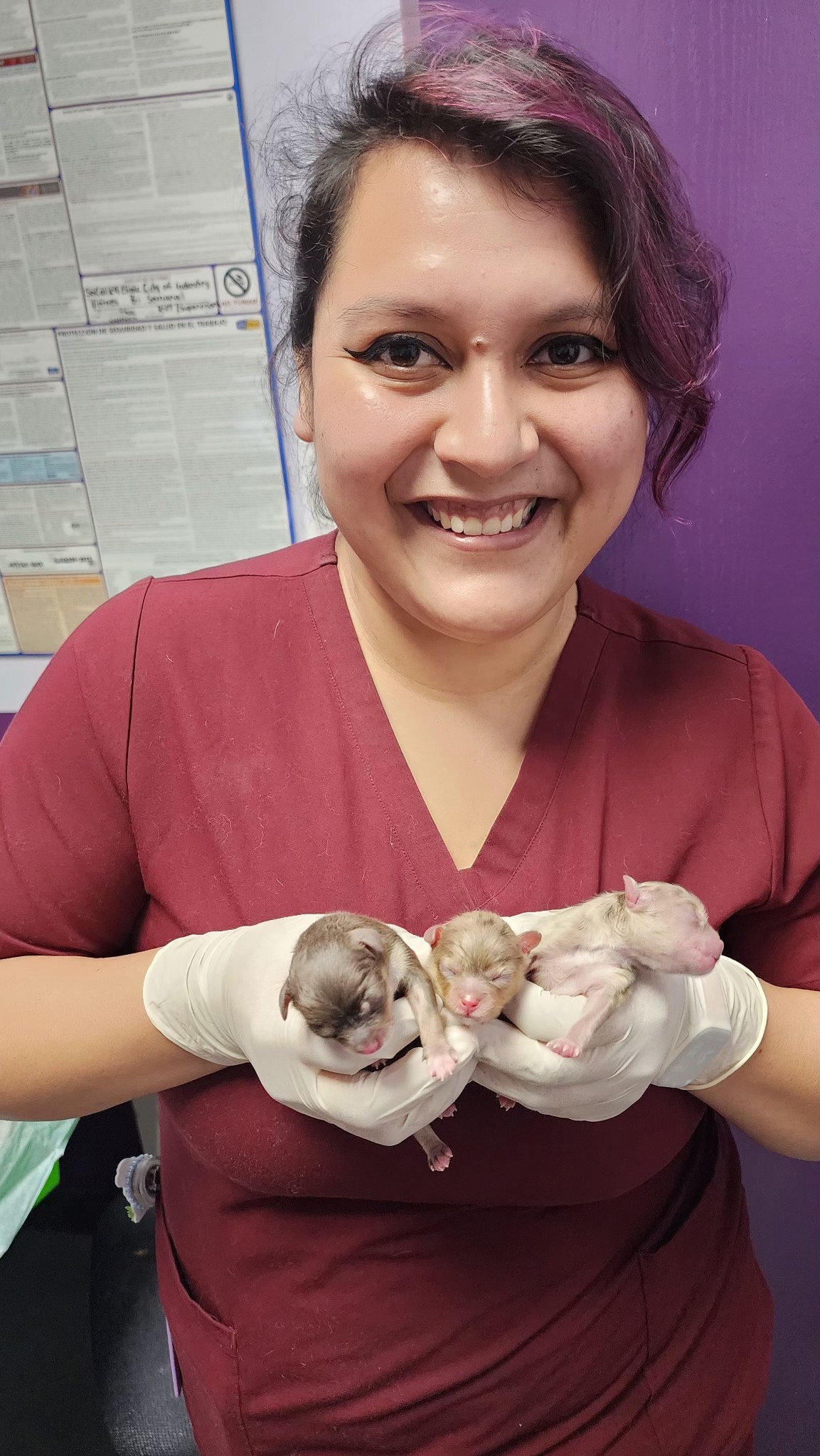 Fund Alma Diaz's Vet School Journey campaign photo, 6 of 7