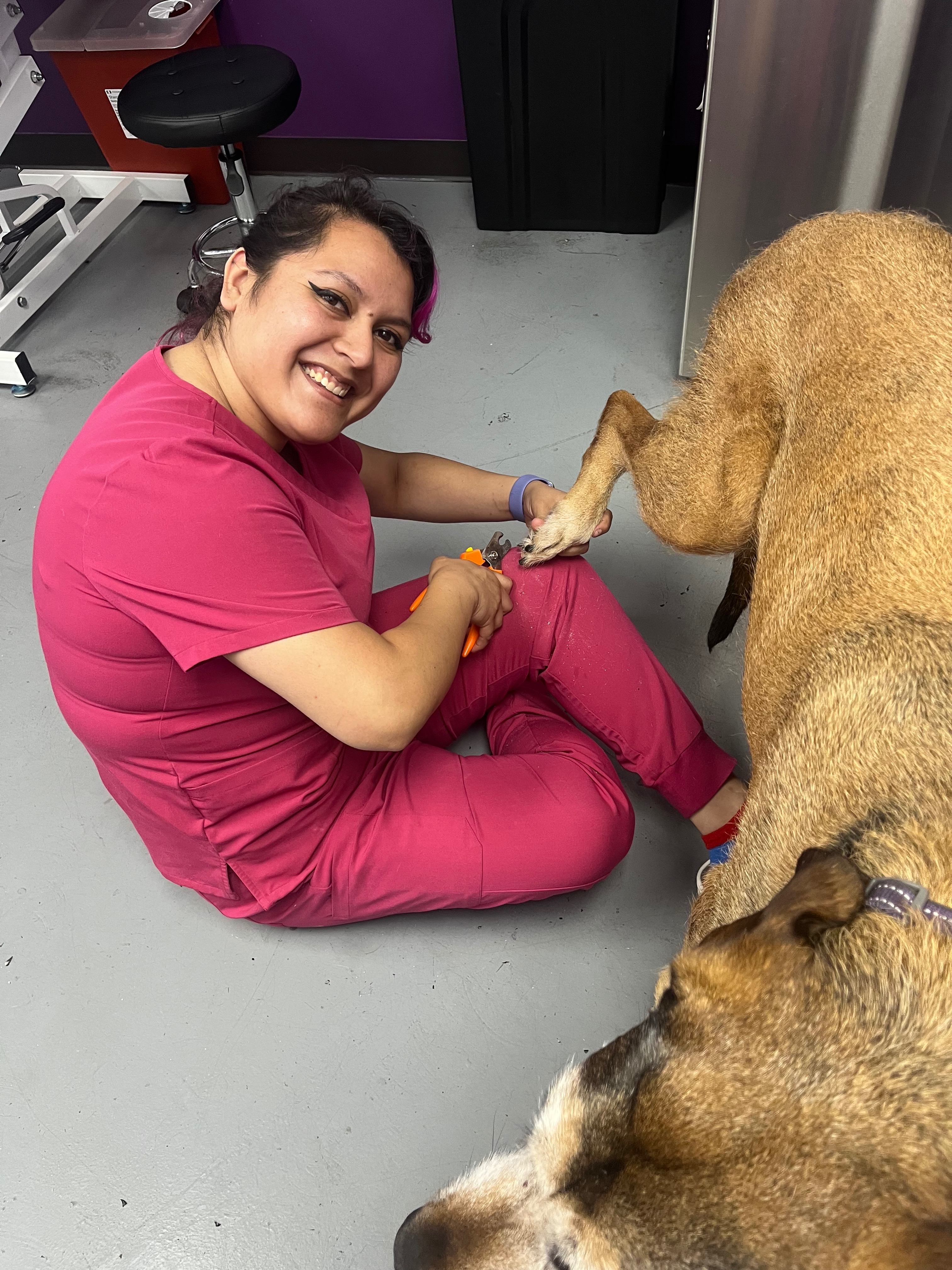 Fund Alma Diaz's Vet School Journey campaign photo, 5 of 7